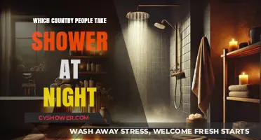 Nighttime Showers: Which Countries Prefer Evening Bathing Habits?