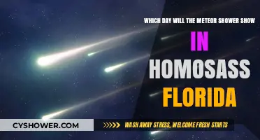 Meteor Shower Viewing Guide for Homosassa, Florida: Dates and Tips