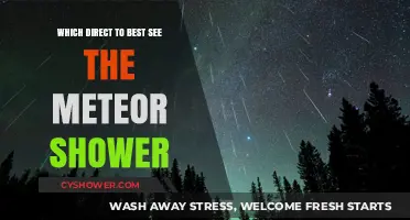 Best Viewing Spots for the Meteor Shower: A Guide