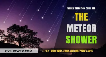 Best Viewing Directions for the Upcoming Meteor Shower: A Guide