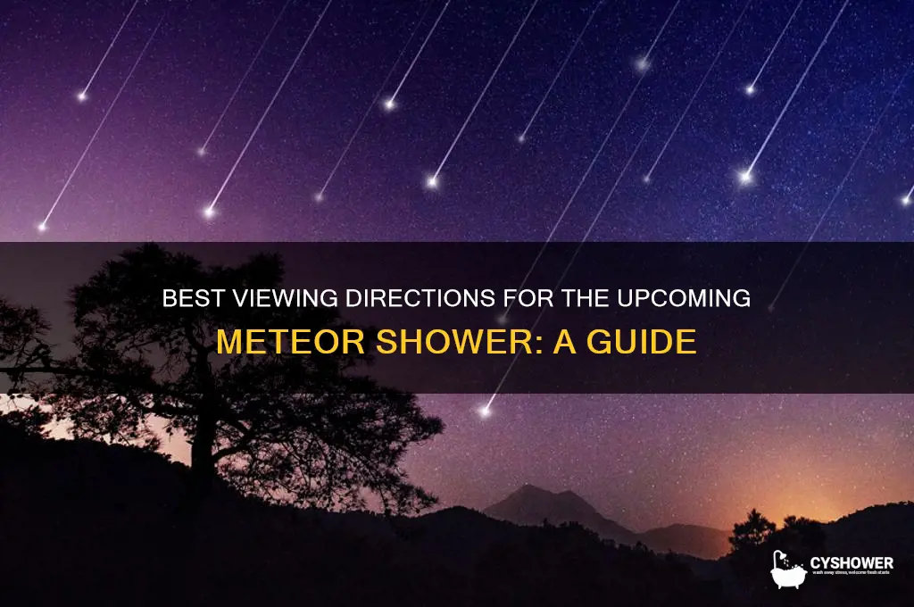 which direction can i see the meteor shower