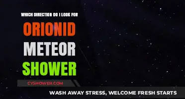 Where to Look for the Orionid Meteor Shower: A Stargazer's Guide