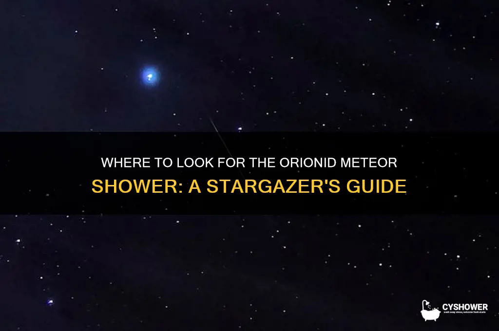which direction do i look for orionid meteor shower