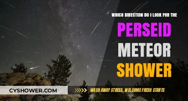 Where to Look for the Perseid Meteor Shower: A Stargazer's Guide