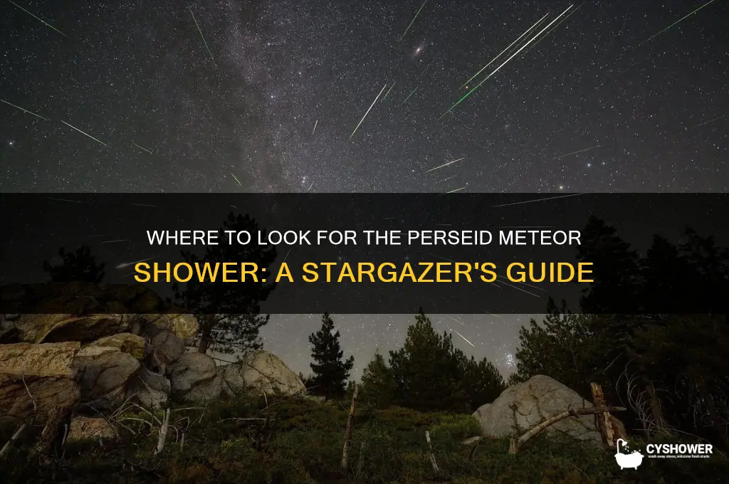 which direction do i look for the perseid meteor shower