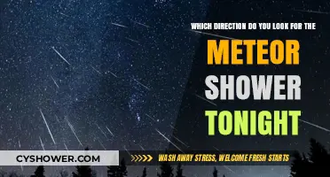 Where to Look Tonight for the Meteor Shower: A Stargazer's Guide