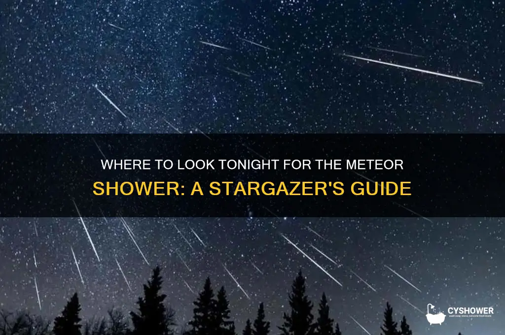 which direction do you look for the meteor shower tonight