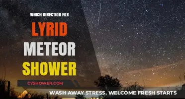 Best Viewing Direction for the Lyrid Meteor Shower This Year