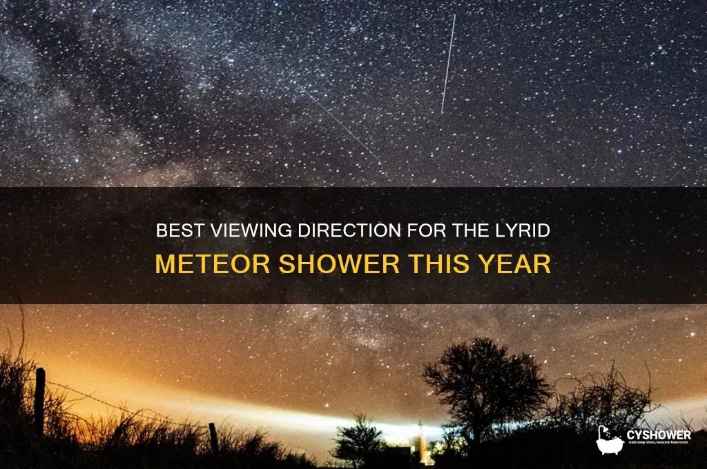 which direction for lyrid meteor shower