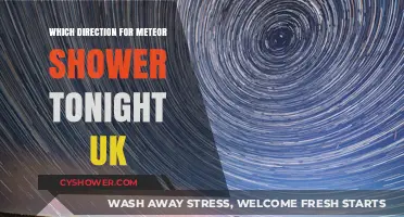UK Meteor Shower Tonight: Best Viewing Direction and Tips