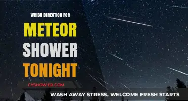 Tonight's Meteor Shower: Best Viewing Direction and Peak Time Guide