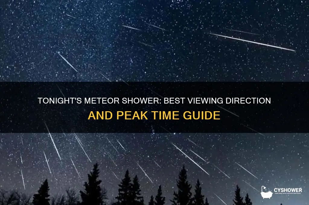 which direction for meteor shower tonight