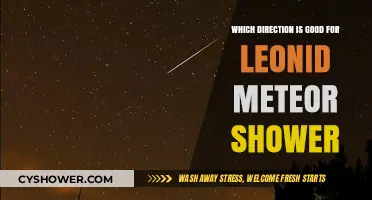 Best Viewing Direction for the Leonid Meteor Shower: A Guide