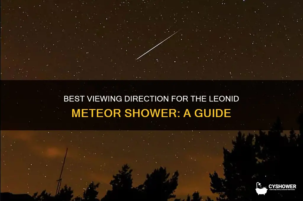 which direction is good for leonid meteor shower