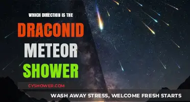 Draconid Meteor Shower: Tracking Its Celestial Path and Direction