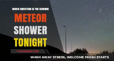 Geminid Meteor Shower Tonight: Find the Best Viewing Direction
