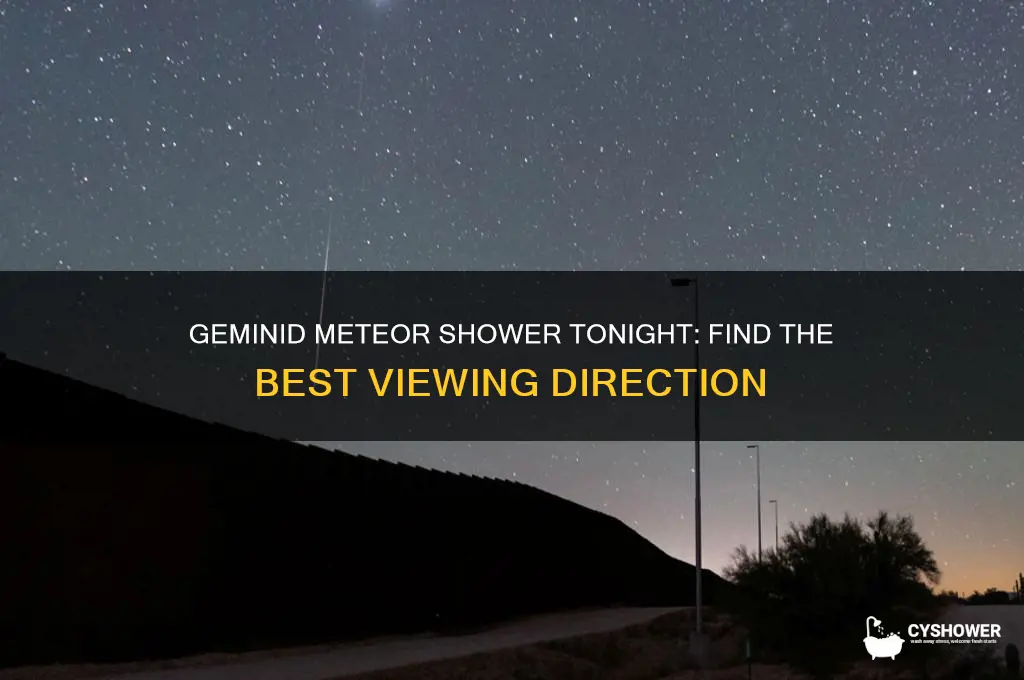 which direction is the geminid meteor shower tonight