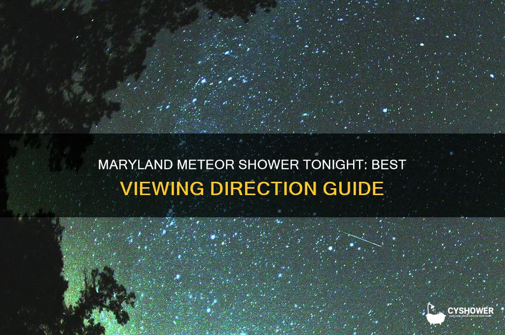 which direction is the meteor shower tonight in maryland