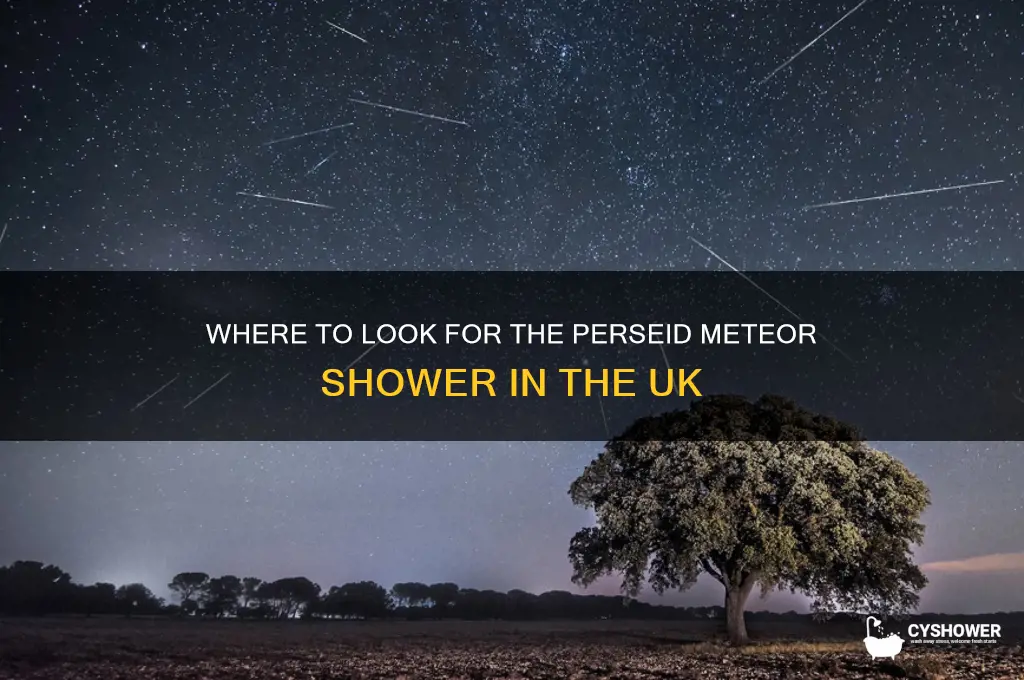which direction is the perseid meteor shower uk