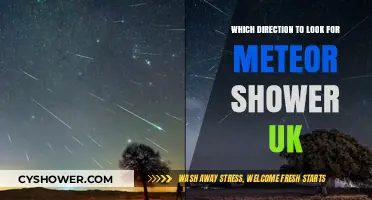 UK Meteor Shower Guide: Best Viewing Directions and Tips