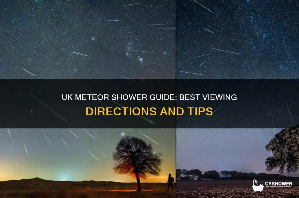 which direction to look for meteor shower uk