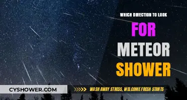 Stargazing Guide: Best Direction to Spot Meteor Showers Tonight