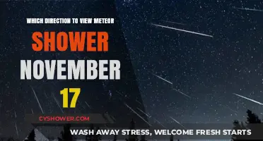 November 17 Meteor Shower: Best Viewing Direction Guide
