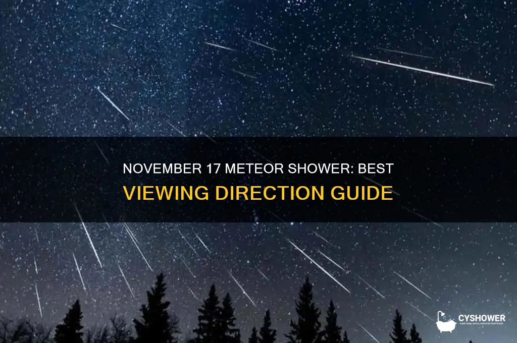 which direction to view meteor shower november 17