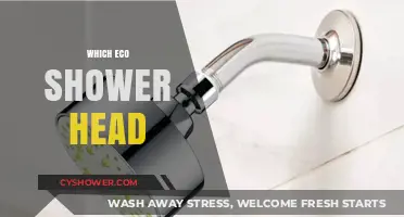 Eco-Friendly Shower Heads: Top Picks for Water and Energy Savings
