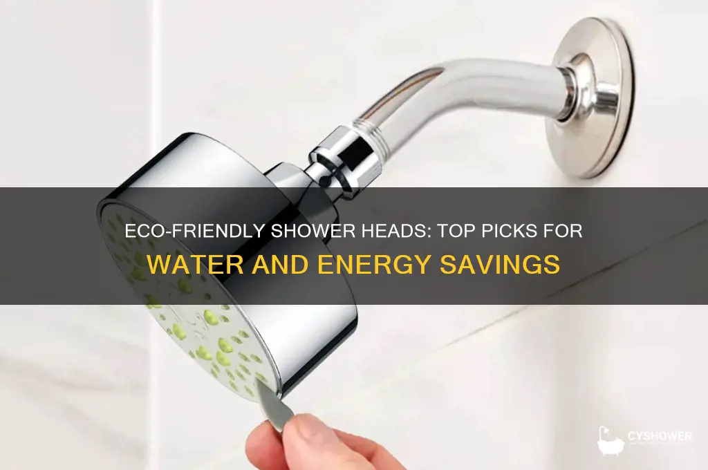 which eco shower head