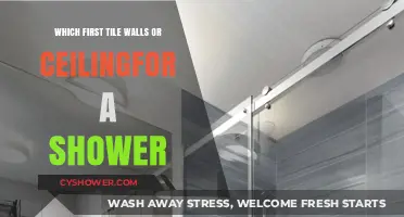 Shower Renovation Dilemma: Should You Tile Walls or Ceiling First?