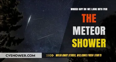 Who to Follow for the Best Meteor Shower Viewing Tips