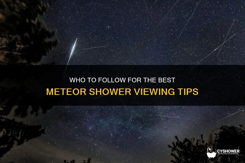 which guy do we look into for the meteor shower