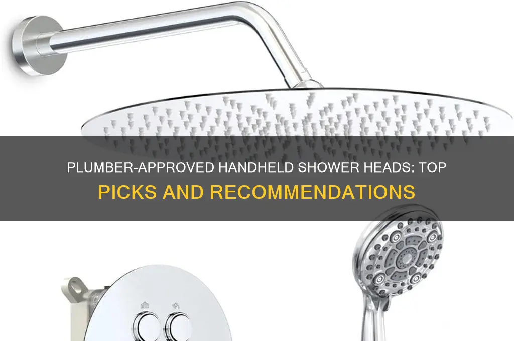 which hand held shower heads do plumbers like