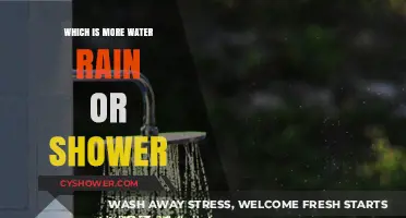Rain vs. Shower: Which Uses More Water in Your Daily Life?