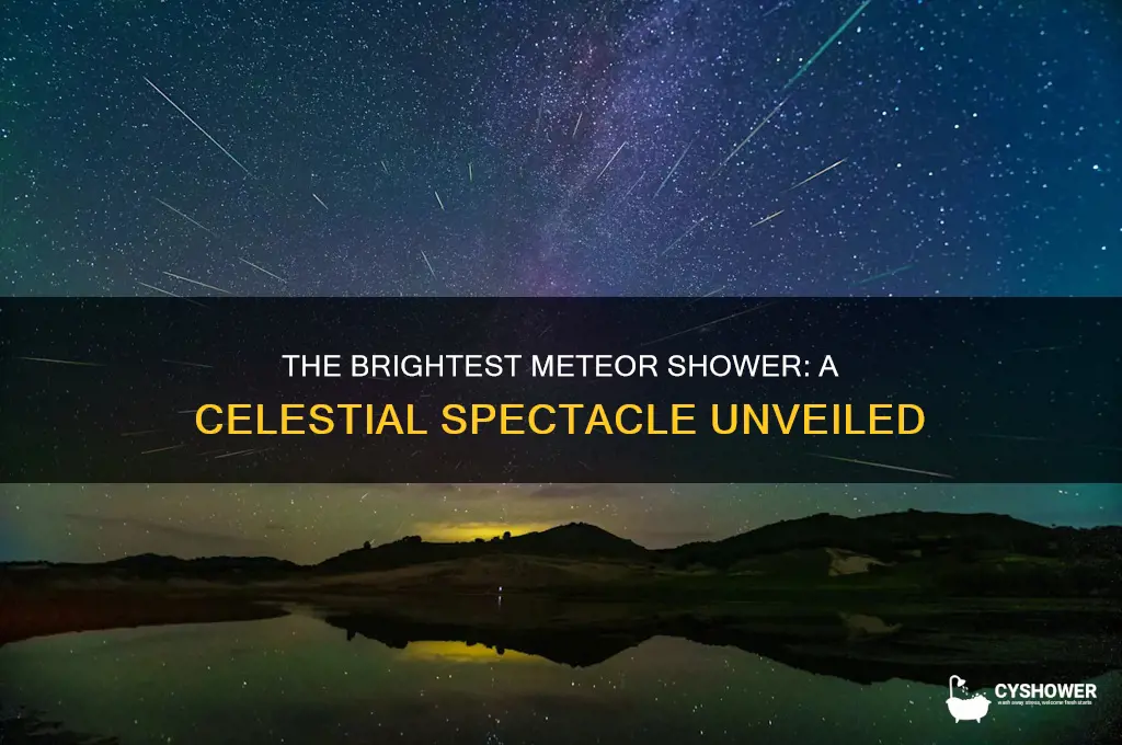 which is the brightest meteor shower