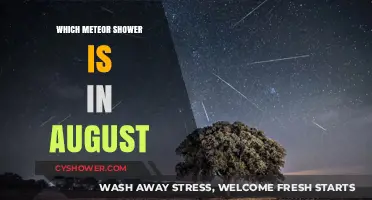August's Perseid Meteor Shower: A Celestial Spectacle to Watch