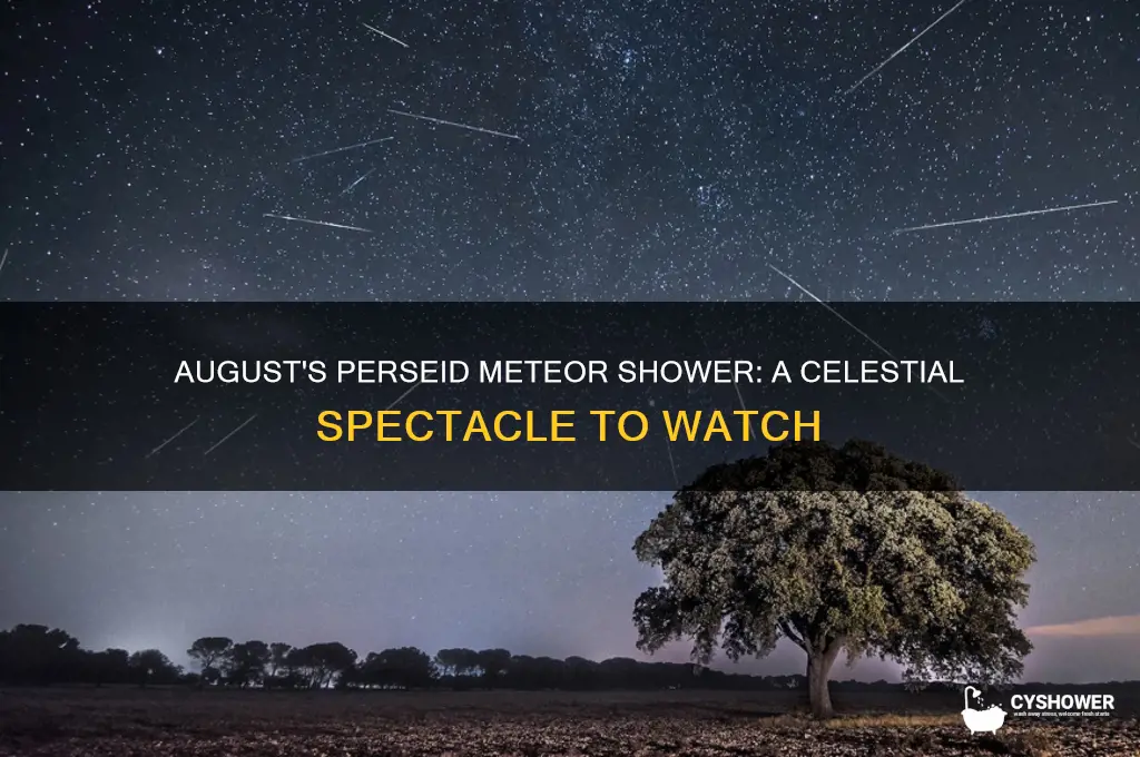 which meteor shower is in august