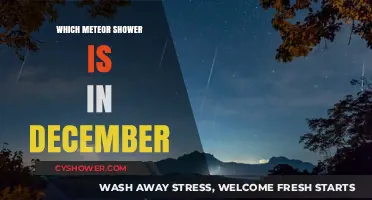 December's Geminids: A Celestial Spectacle to End the Year