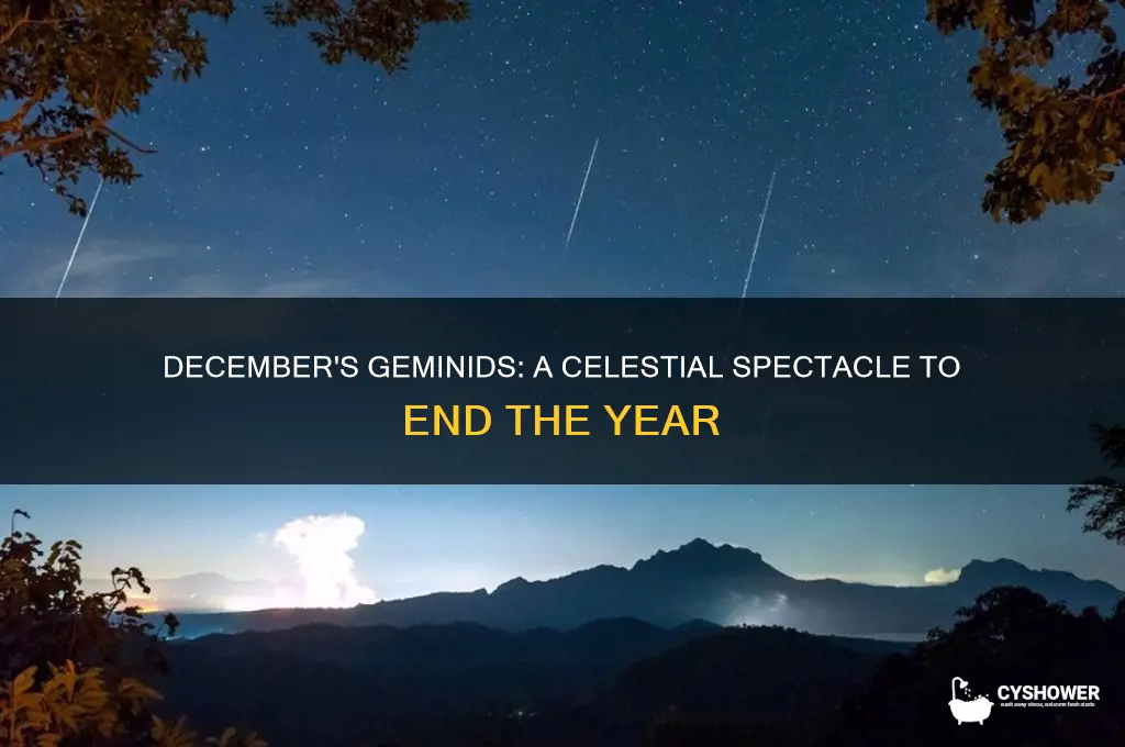 which meteor shower is in december