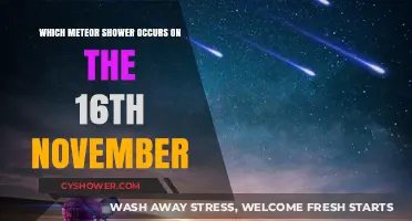November's Leonid Meteor Shower Peaks on the 16th