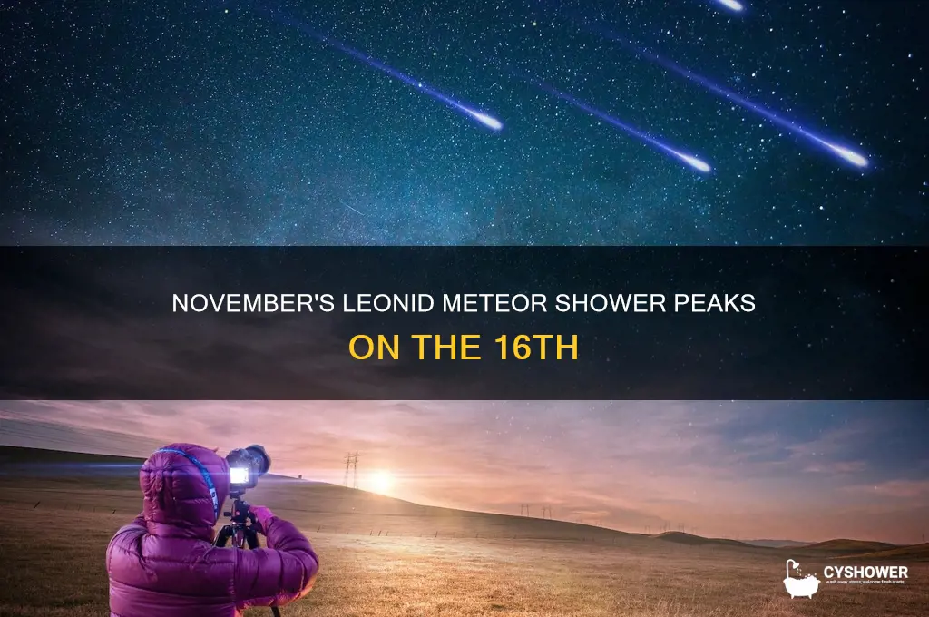 which meteor shower occurs on the 16th november