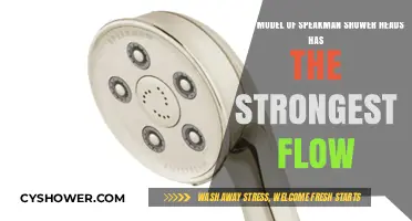 Speakman Shower Heads: Discover the Model with the Strongest Flow