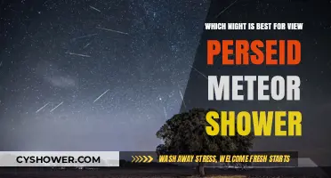 Best Night to Watch Perseid Meteor Shower: A Stargazer's Guide