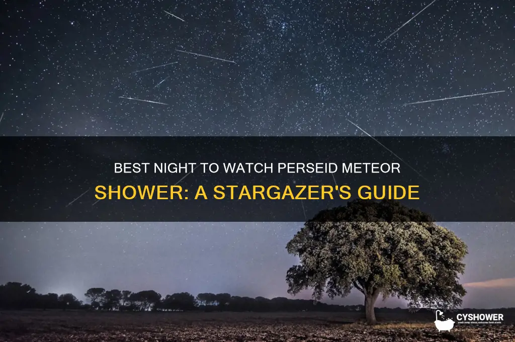 which night is best for view perseid meteor shower