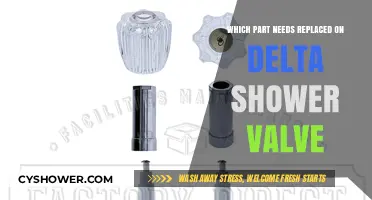 Troubleshooting Delta Shower Valve: Identifying the Faulty Part for Replacement