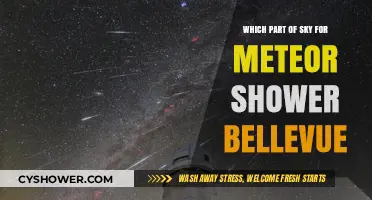 Best Sky Viewing Spot for Bellevue's Meteor Shower Spectacle