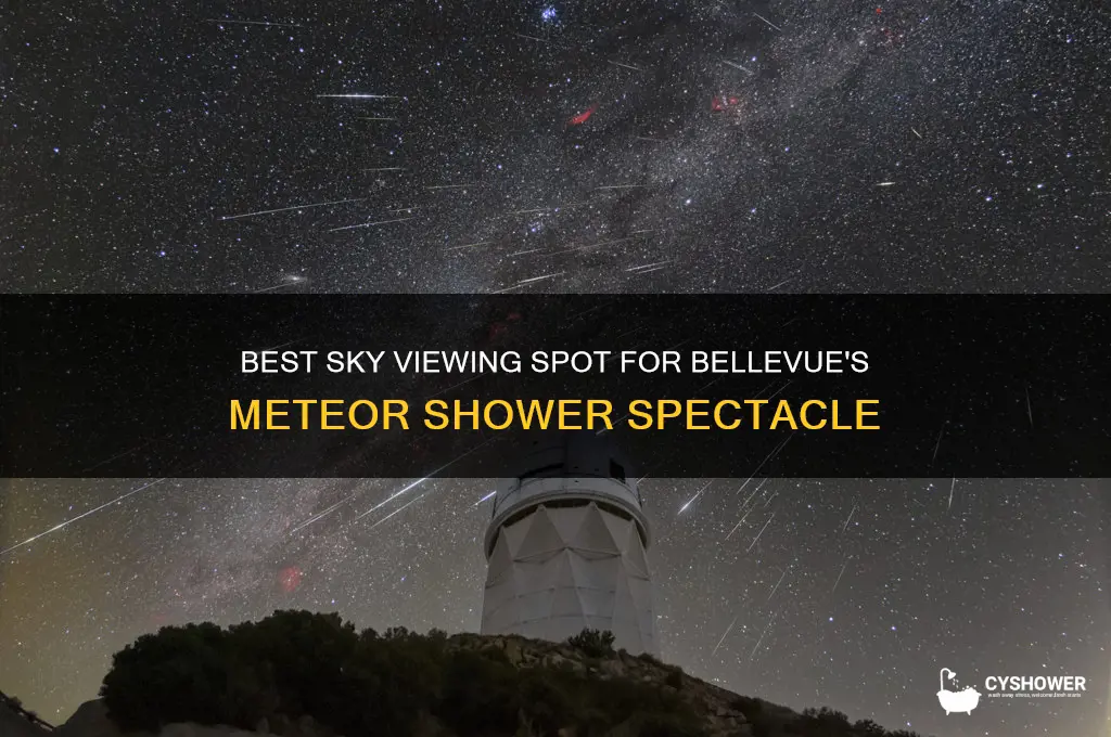 which part of sky for meteor shower bellevue