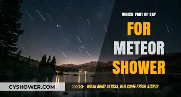 Best Viewing Spots: Where to Watch Meteor Showers in the Night Sky