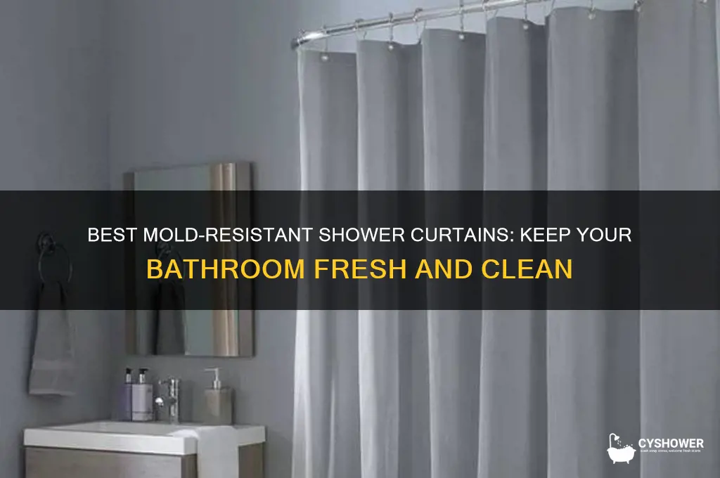 which shower curtain fights mold